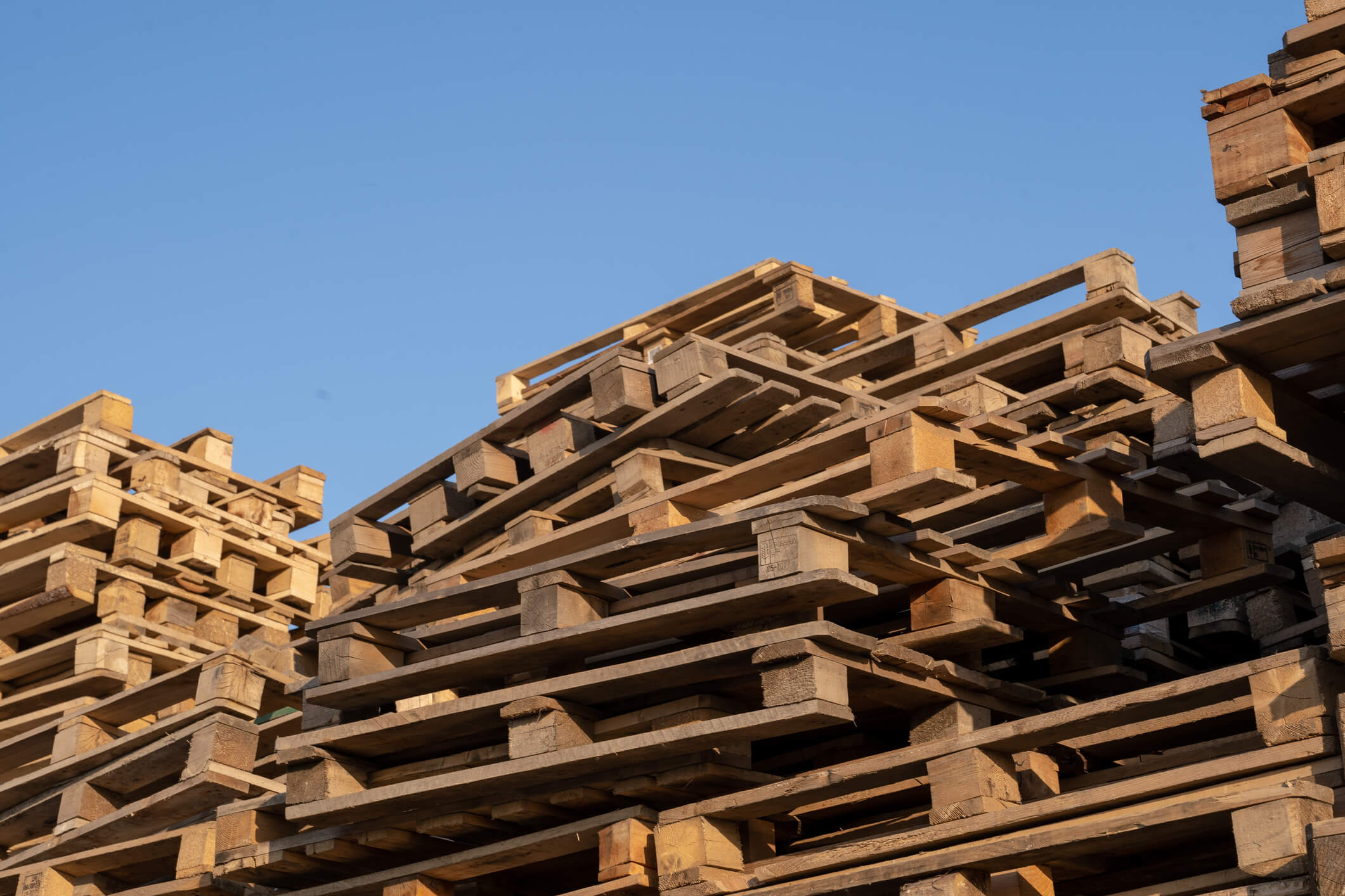 Stack of Wooden Pallets